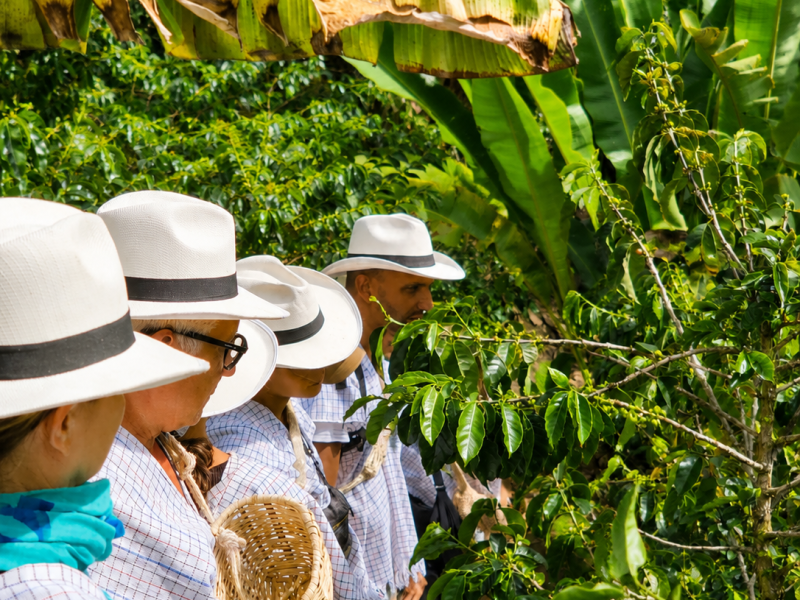 Reserva los mejores tours, actividades y atracciones turísticas de Colombia
