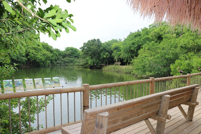 Cómo Llegar al Aviario de Cartagena