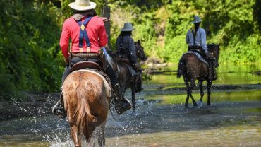 Reserva los mejores tours, actividades y atracciones turísticas de Colombia