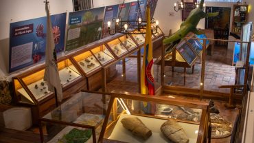 Qué ver en el Museo Paleontológico de Villa de Leyva