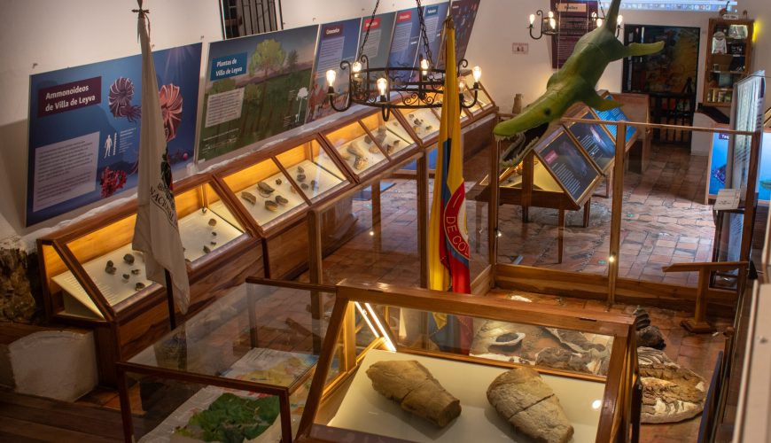 Qué ver en el Museo Paleontológico de Villa de Leyva