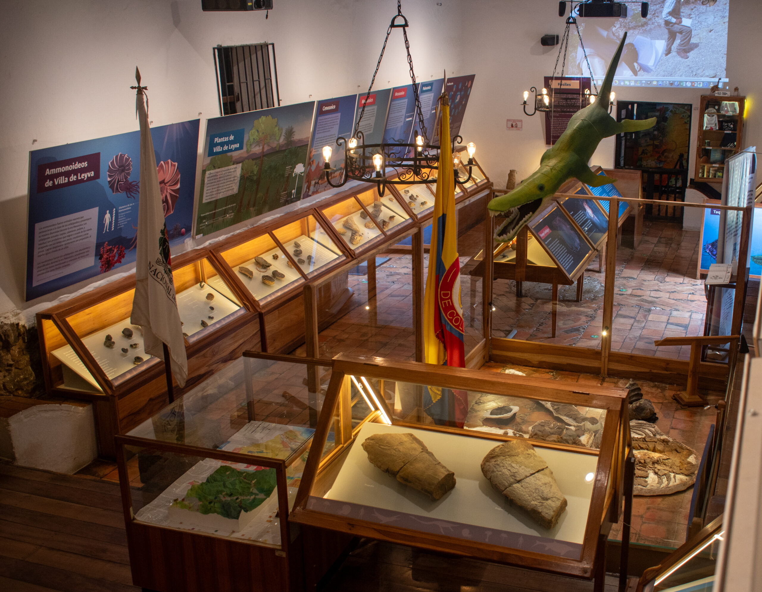 Qué ver en el Museo Paleontológico de Villa de Leyva