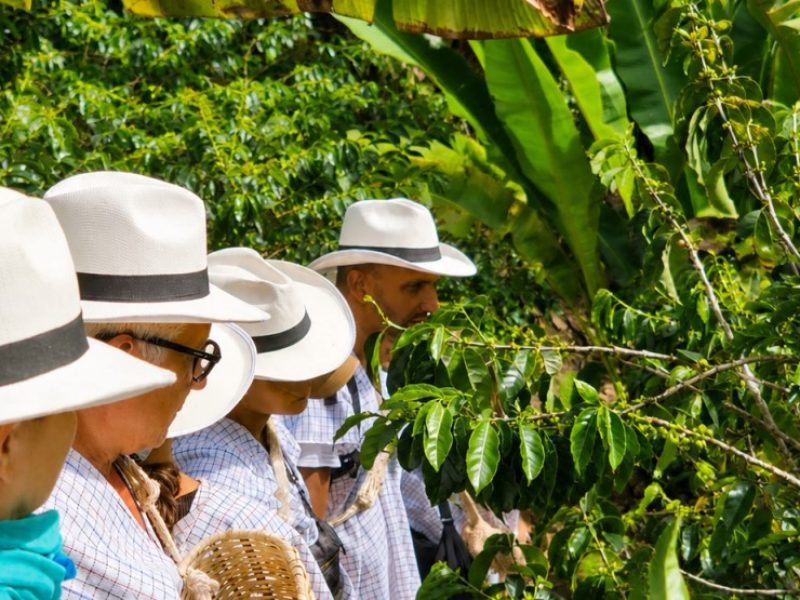 agencia de turismo en manizales