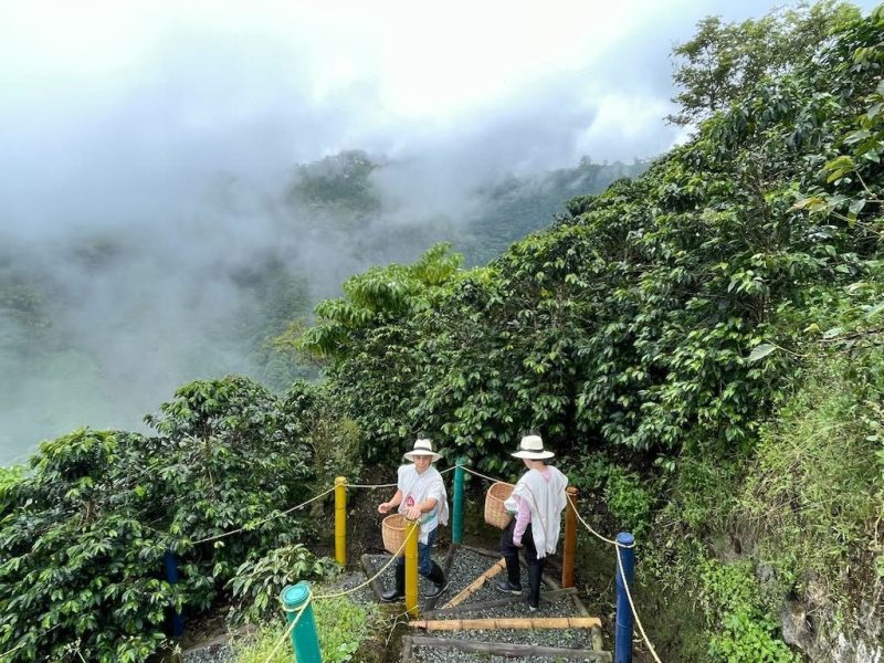 qué hacer en Manizales en 3 días