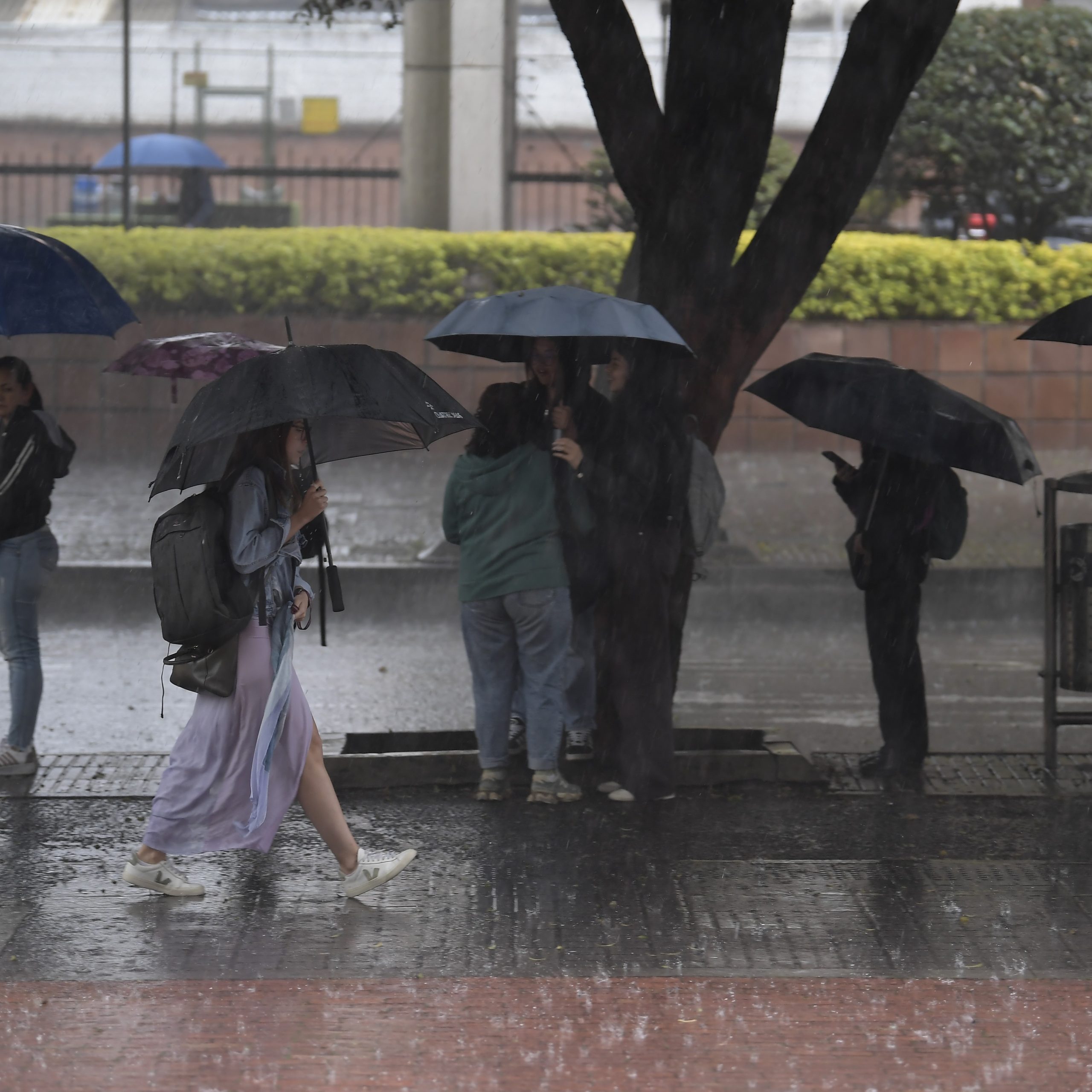 la mejor época para ir a Bogotá